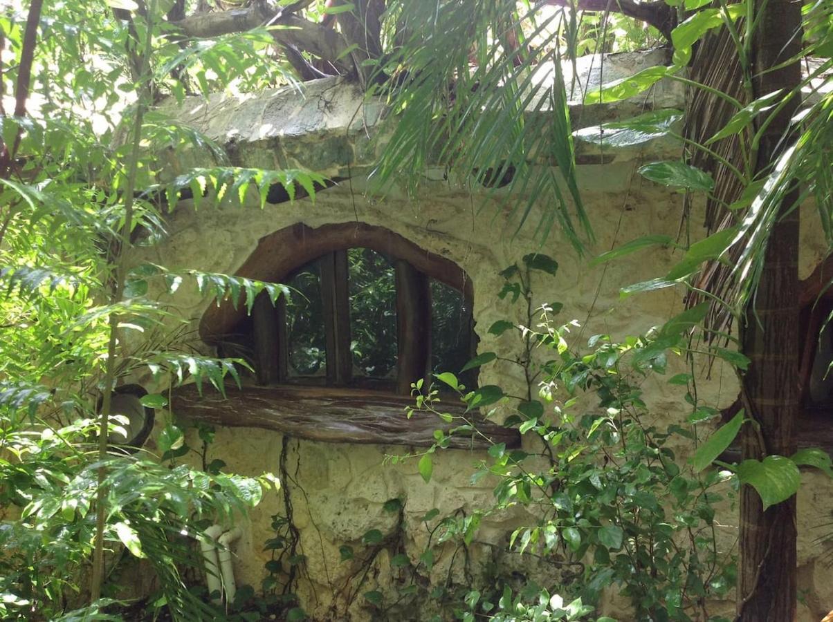 Portal Xibalba Camping *